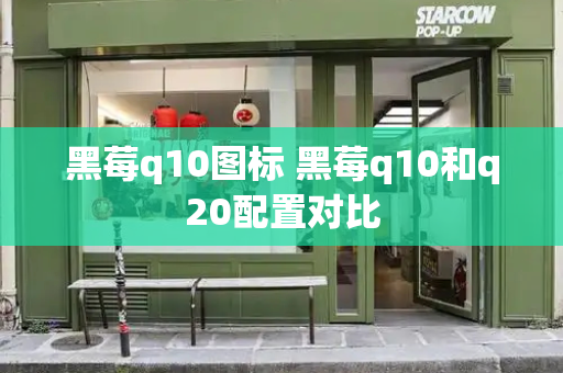 黑莓q10图标 黑莓q10和q20配置对比