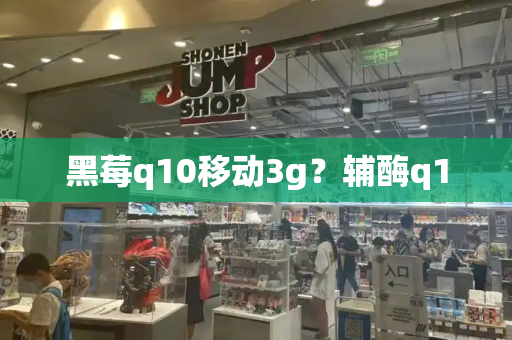 黑莓q10移动3g？辅酶q10