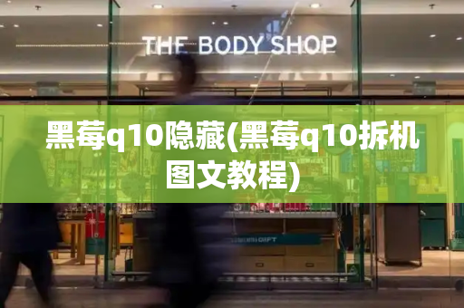 黑莓q10隐藏(黑莓q10拆机图文教程)-第1张图片-星选测评