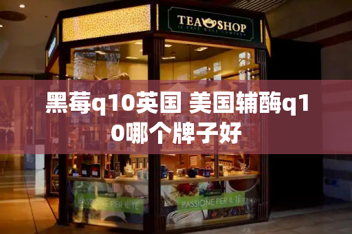 黑莓q10英国 美国辅酶q10哪个牌子好-第1张图片-星选测评
