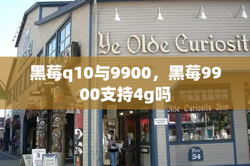 黑莓q10与9900，黑莓9900支持4g吗