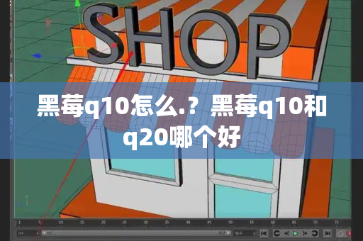 黑莓q10怎么.？黑莓q10和q20哪个好
