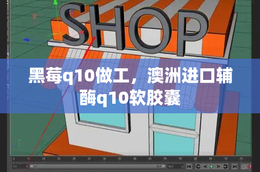 黑莓q10做工，澳洲进口辅酶q10软胶囊