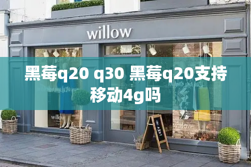 黑莓q20 q30 黑莓q20支持移动4g吗-第1张图片-星选测评