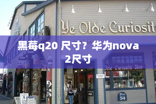 黑莓q20 尺寸？华为nova2尺寸-第1张图片-星选测评