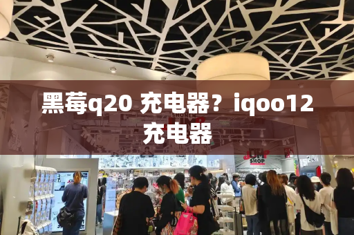 黑莓q20 充电器？iqoo12充电器