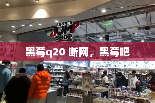 黑莓q20 断网，黑莓吧-第1张图片-星选测评