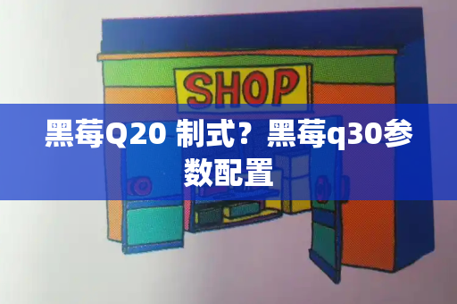 黑莓Q20 制式？黑莓q30参数配置-第1张图片-星选测评