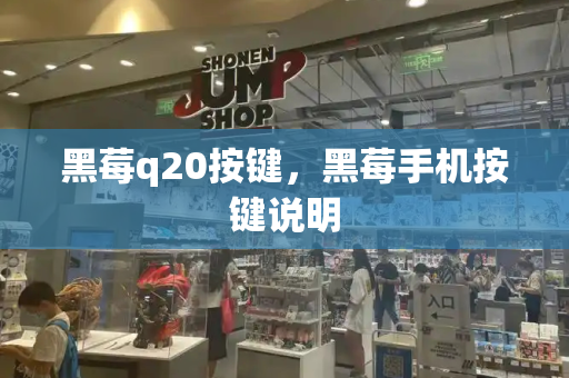 黑莓q20按键，黑莓手机按键说明-第1张图片-星选测评