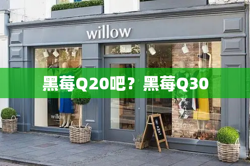 黑莓Q20吧？黑莓Q30-第1张图片-星选测评