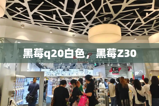 黑莓q20白色，黑莓Z30-第1张图片-星选测评