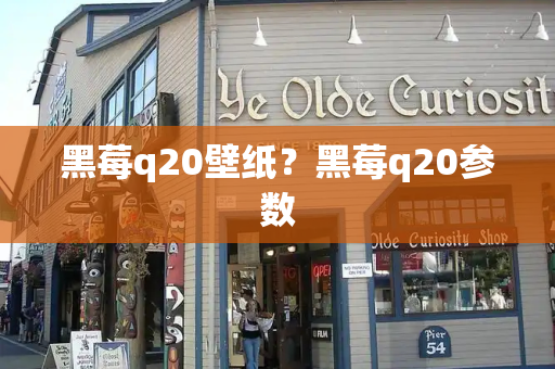 黑莓q20壁纸？黑莓q20参数