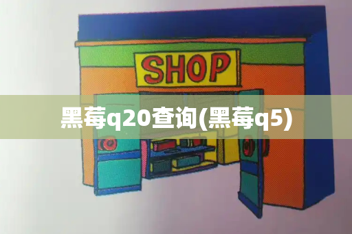 黑莓q20查询(黑莓q5)-第1张图片-星选测评