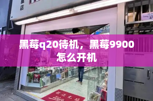 黑莓q20待机，黑莓9900怎么开机-第1张图片-星选测评