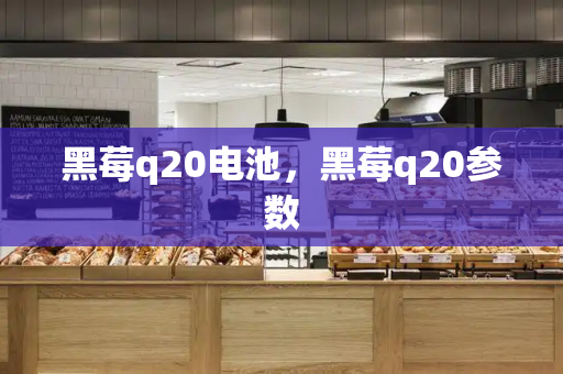 黑莓q20电池，黑莓q20参数-第1张图片-星选测评