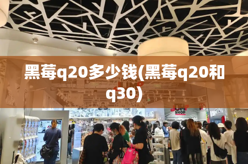 黑莓q20多少钱(黑莓q20和q30)-第1张图片-星选测评