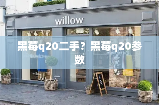 黑莓q20二手？黑莓q20参数-第1张图片-星选测评
