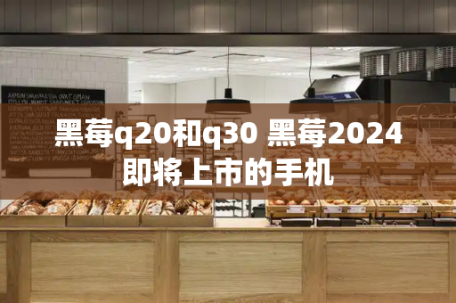 黑莓q20和q30 黑莓2024即将上市的手机-第1张图片-星选测评