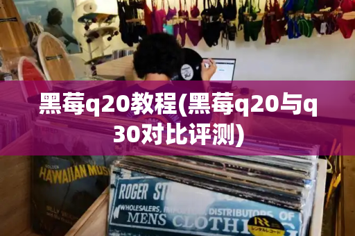 黑莓q20教程(黑莓q20与q30对比评测)