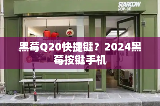 黑莓Q20快捷键？2024黑莓按键手机