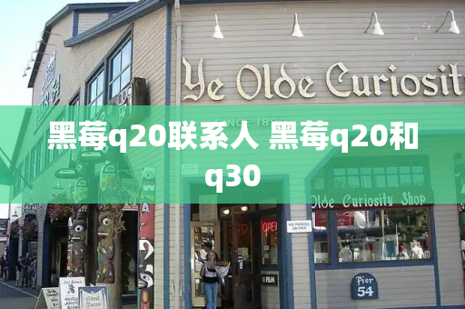 黑莓q20联系人 黑莓q20和q30-第1张图片-星选测评