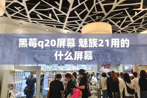 黑莓q20屏幕 魅族21用的什么屏幕