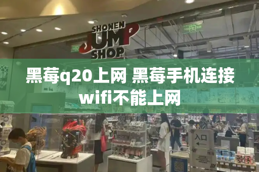 黑莓q20上网 黑莓手机连接wifi不能上网