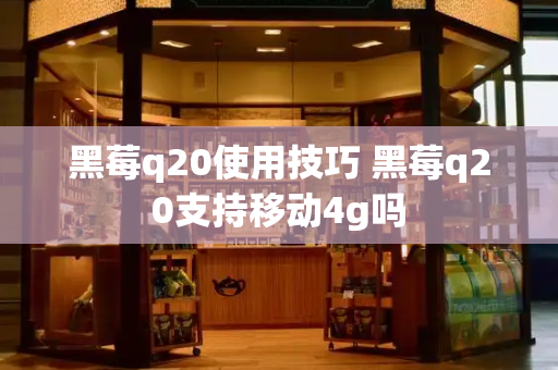 黑莓q20使用技巧 黑莓q20支持移动4g吗