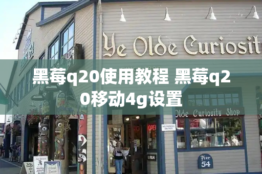 黑莓q20使用教程 黑莓q20移动4g设置-第1张图片-星选测评