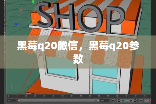 黑莓q20微信，黑莓q20参数-第1张图片-星选测评