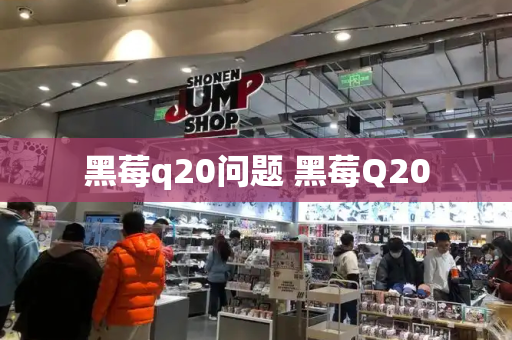 黑莓q20问题 黑莓Q20-第1张图片-星选测评