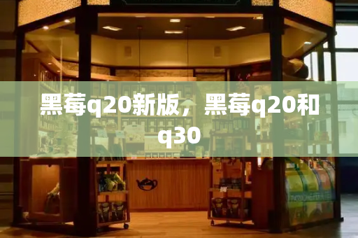 黑莓q20新版，黑莓q20和q30-第1张图片-星选测评