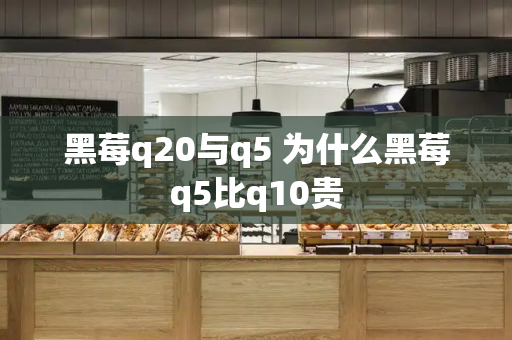 黑莓q20与q5 为什么黑莓q5比q10贵-第1张图片-星选测评