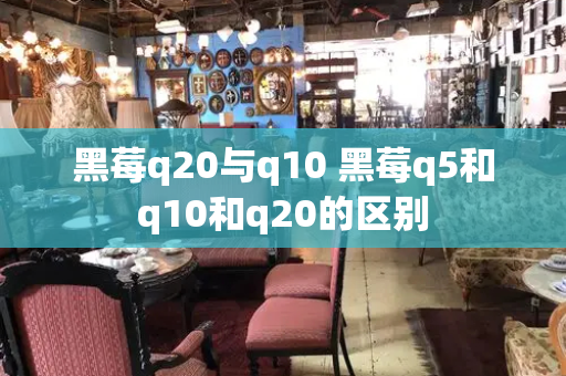 黑莓q20与q10 黑莓q5和q10和q20的区别