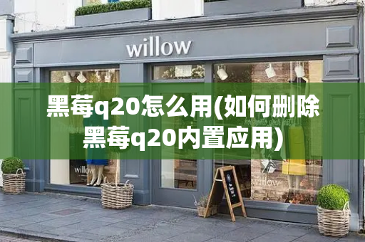 黑莓q20怎么用(如何删除黑莓q20内置应用)