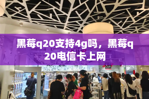 黑莓q20支持4g吗，黑莓q20电信卡上网