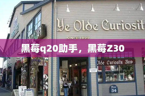 黑莓q20助手，黑莓Z30-第1张图片-星选测评
