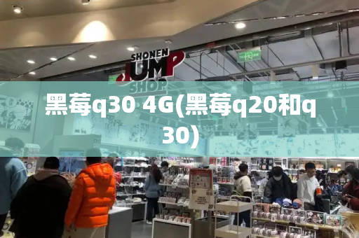 黑莓q30 4G(黑莓q20和q30)-第1张图片-星选测评