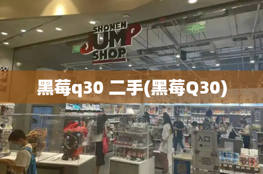 黑莓q30 二手(黑莓Q30)-第1张图片-星选测评