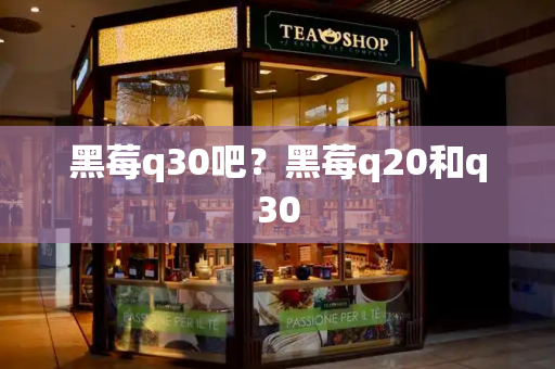 黑莓q30吧？黑莓q20和q30-第1张图片-星选测评