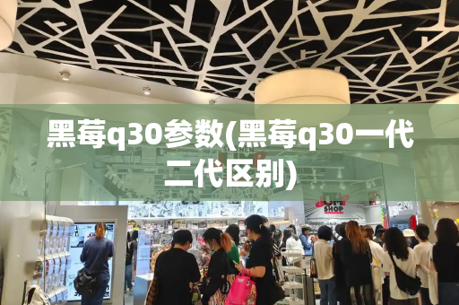黑莓q30参数(黑莓q30一代二代区别)