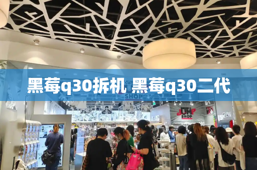 黑莓q30拆机 黑莓q30二代