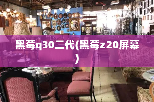 黑莓q30二代(黑莓z20屏幕)