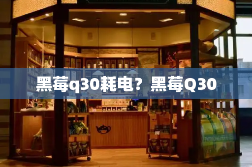 黑莓q30耗电？黑莓Q30