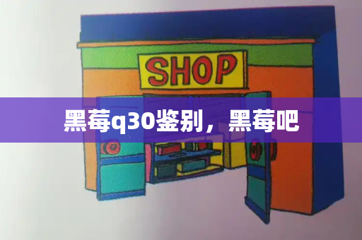 黑莓q30鉴别，黑莓吧-第1张图片-星选测评