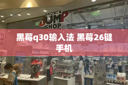 黑莓q30输入法 黑莓26键手机