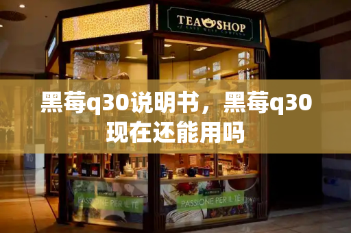 黑莓q30说明书，黑莓q30现在还能用吗
