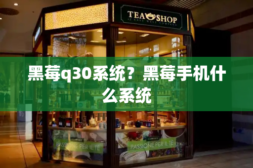 黑莓q30系统？黑莓手机什么系统