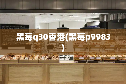 黑莓q30香港(黑莓p9983)