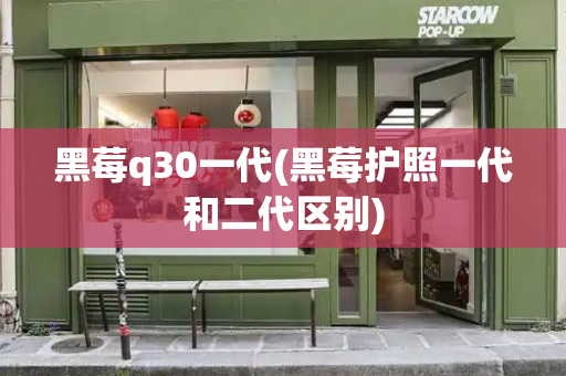 黑莓q30一代(黑莓护照一代和二代区别)